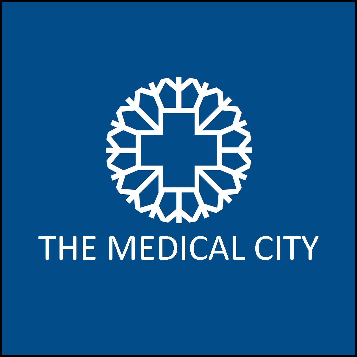 THE MEDICAL CITY